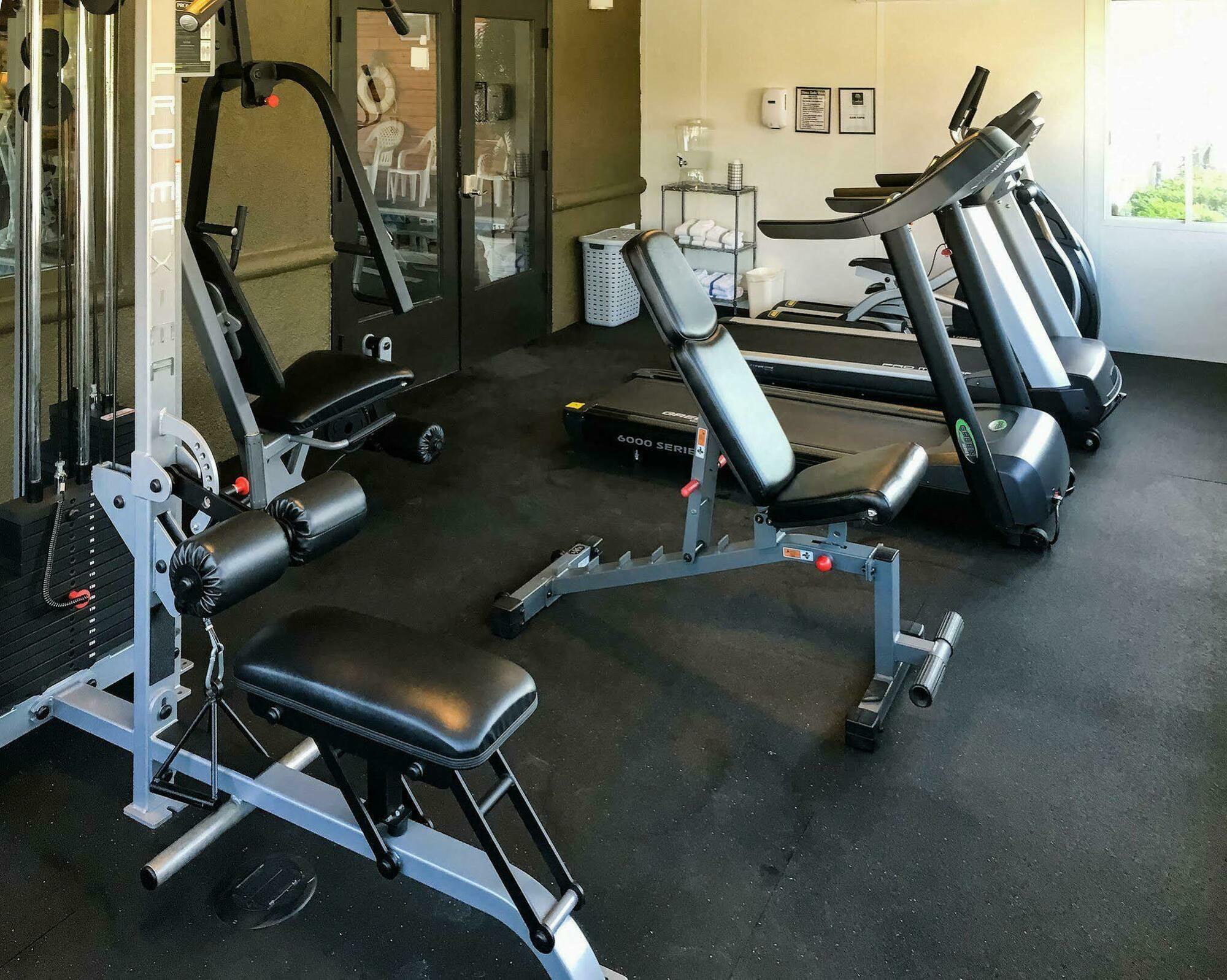 Comfort Inn & Suites Murrieta Temecula Wine Country Экстерьер фото